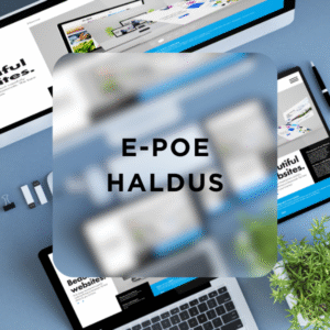 e-poe haldusteenus esassistant.com